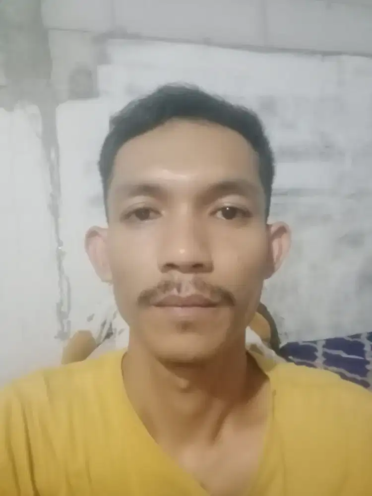 Supir driver panggilan atau pribadi