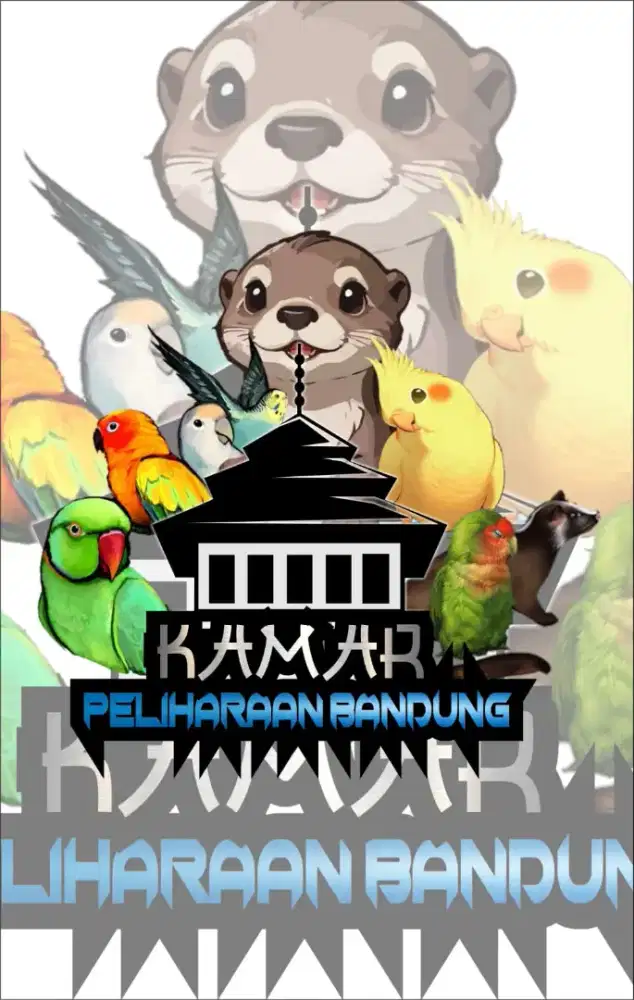 Kamar_peliharaan_bandung 2