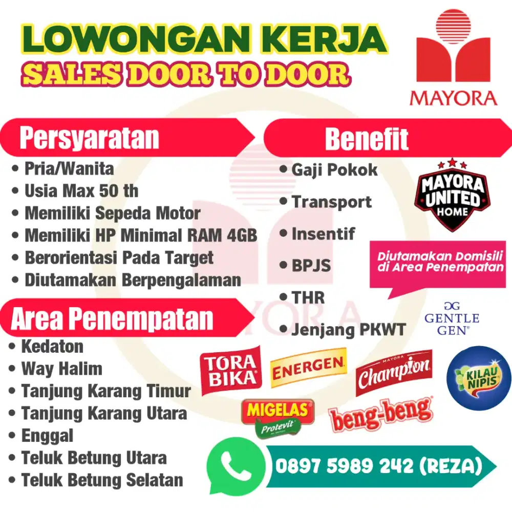 Lowongan Kerja sales mayora
