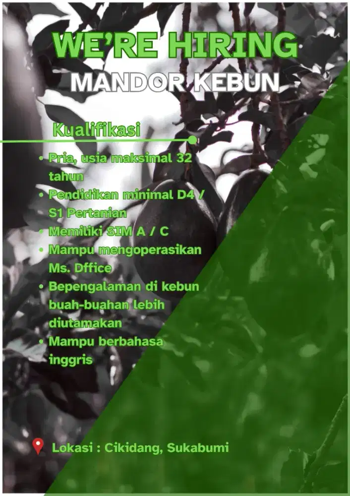 Lowongan Kerja Kepala Mandor & Agronomist – Kebun Alpukat Organik