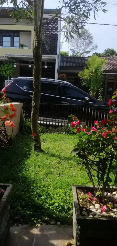 Bubu