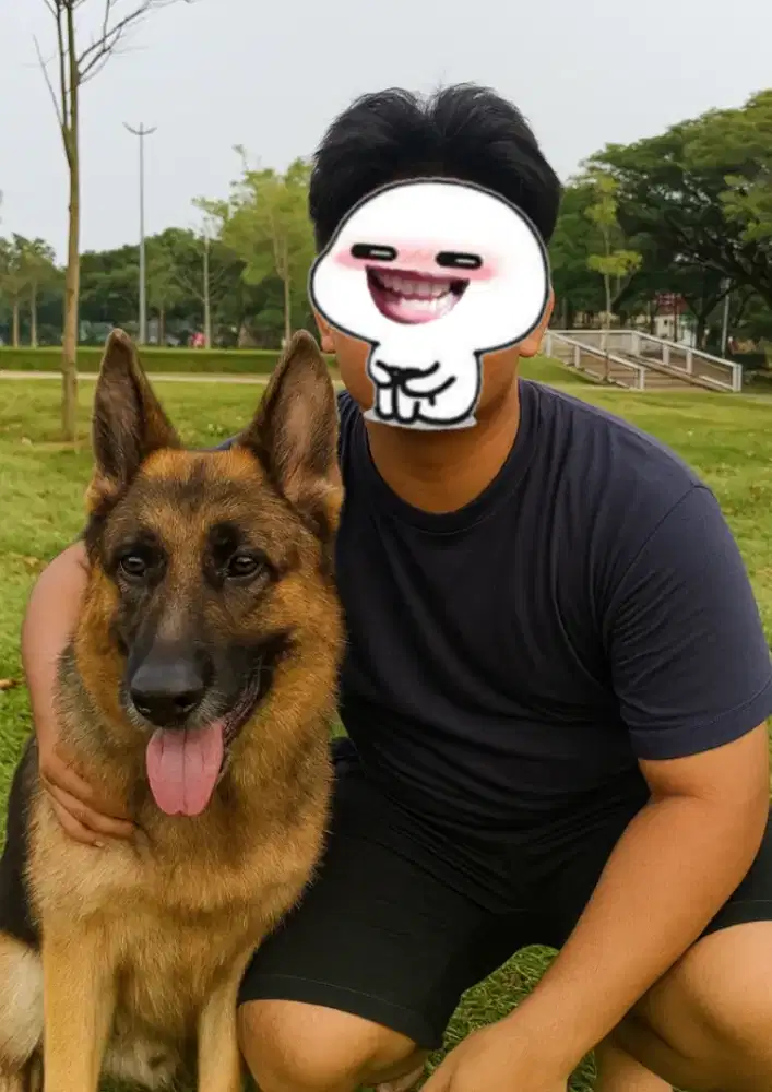 KENNEL BOY BERPENGALAMAN