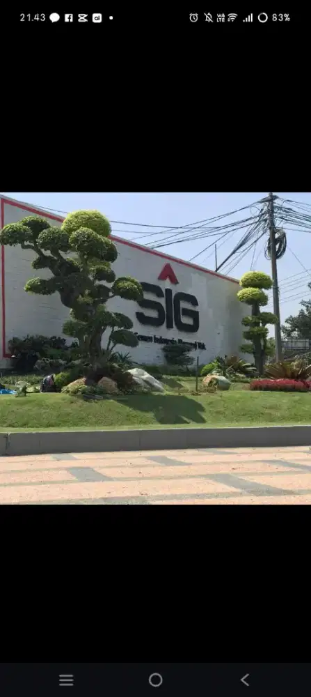 Jasa pembuatan taman