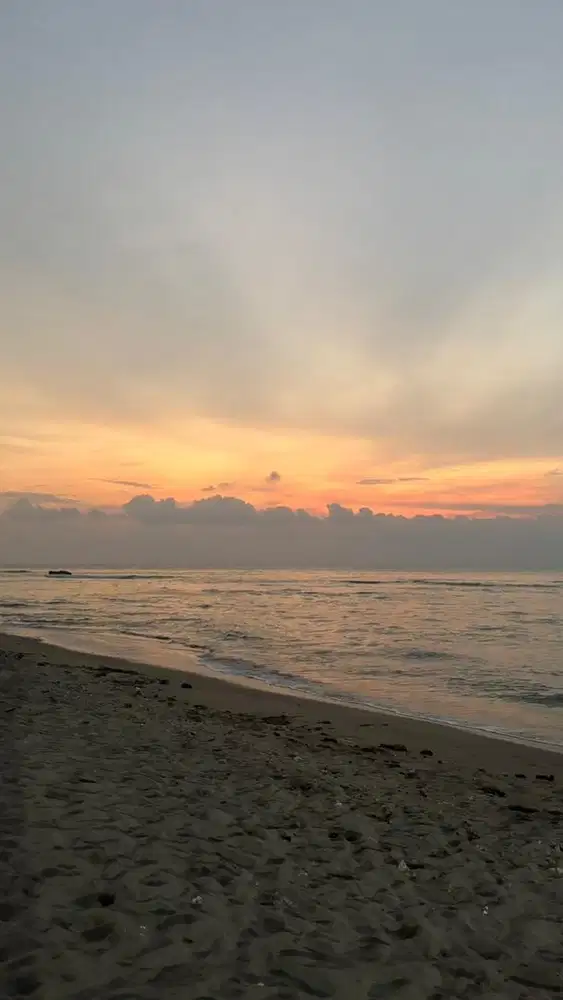 DICARI ART SERABUTAN & MOMONG ANAK