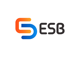 Software Engineer (Backend - Go) - PT. PT Esensi Solusi Buana (ESB)