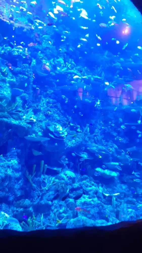 Lg cari art buat urus keperluan mama /jaga mama +beres beres