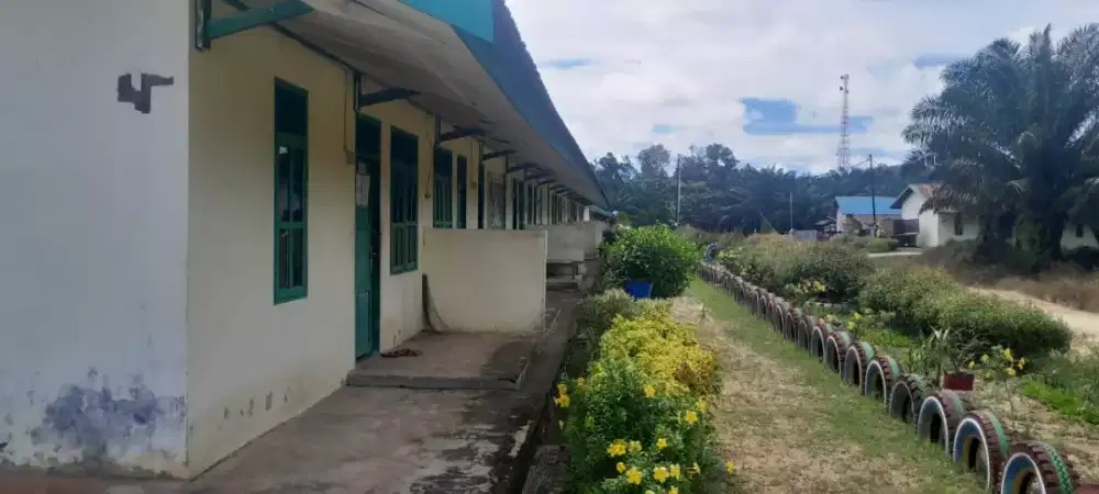 Lowongan Perkebunan Kelapa Sawit