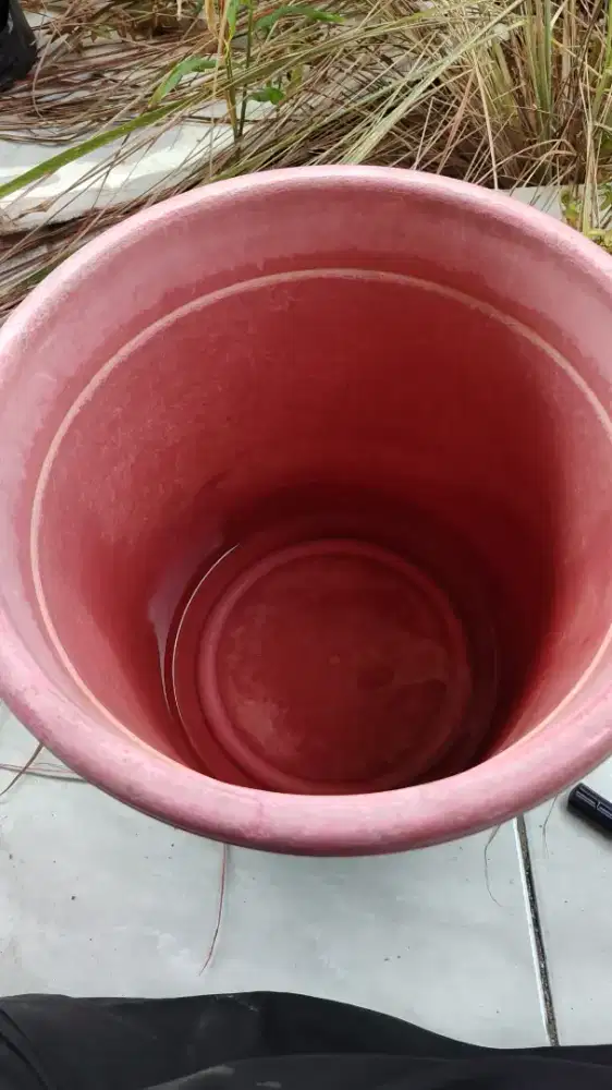 Di butuhkan karyawan/karyawati kantin