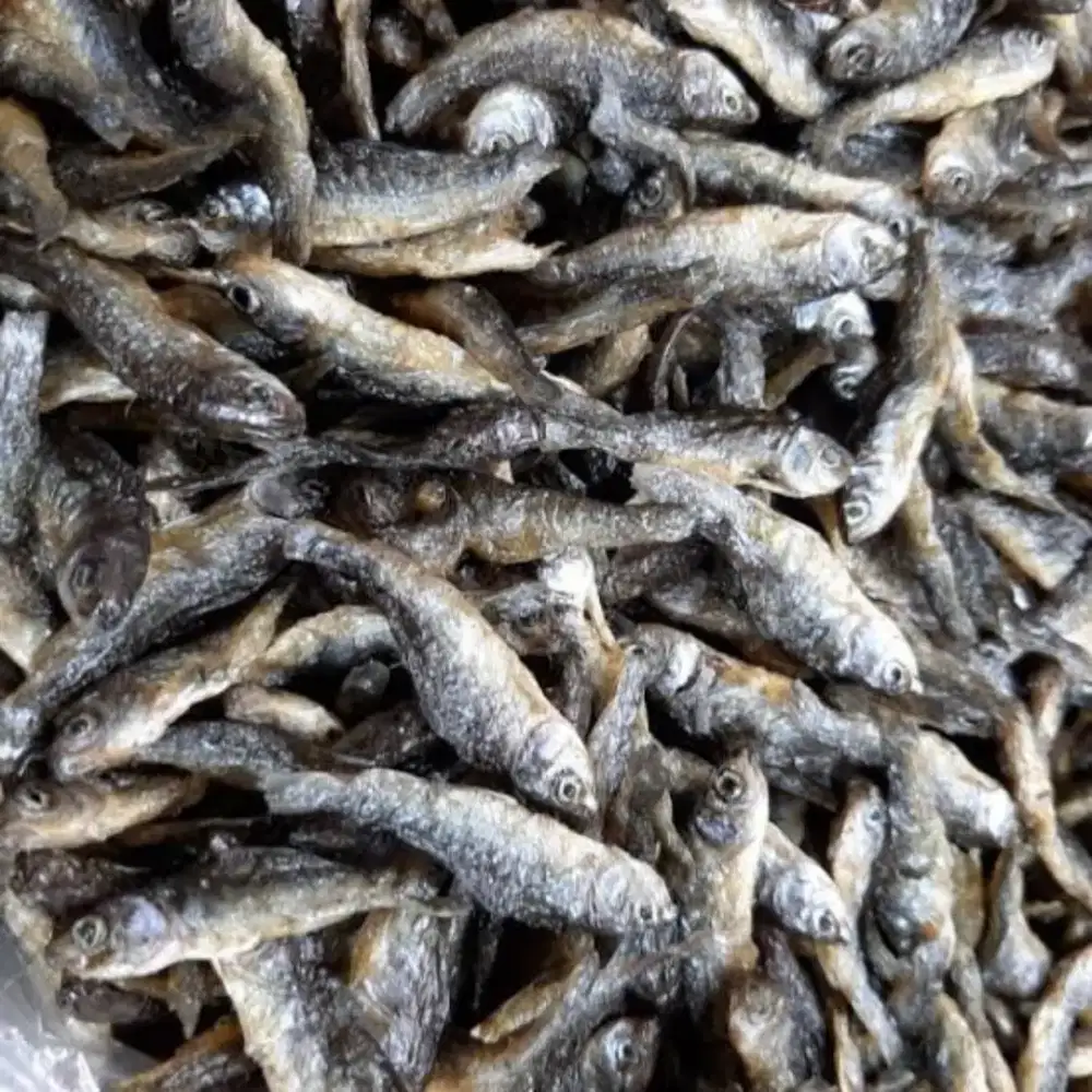 Mochamad Sofyan