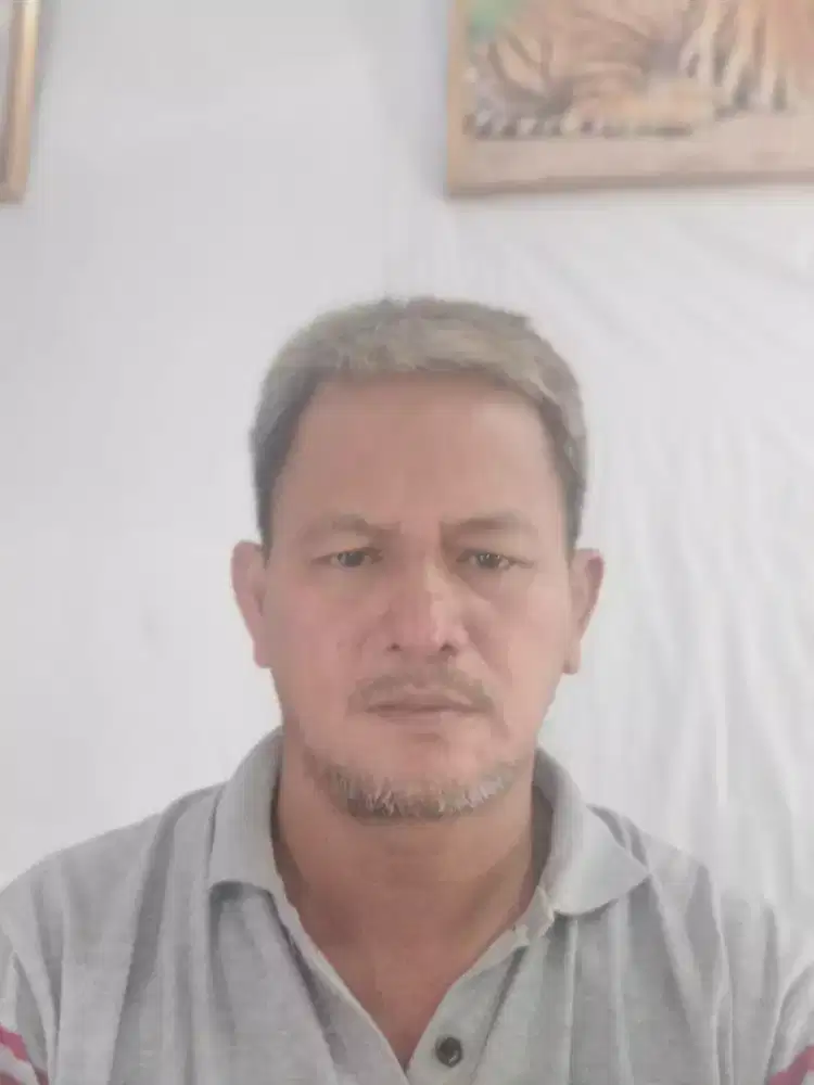 budi andani