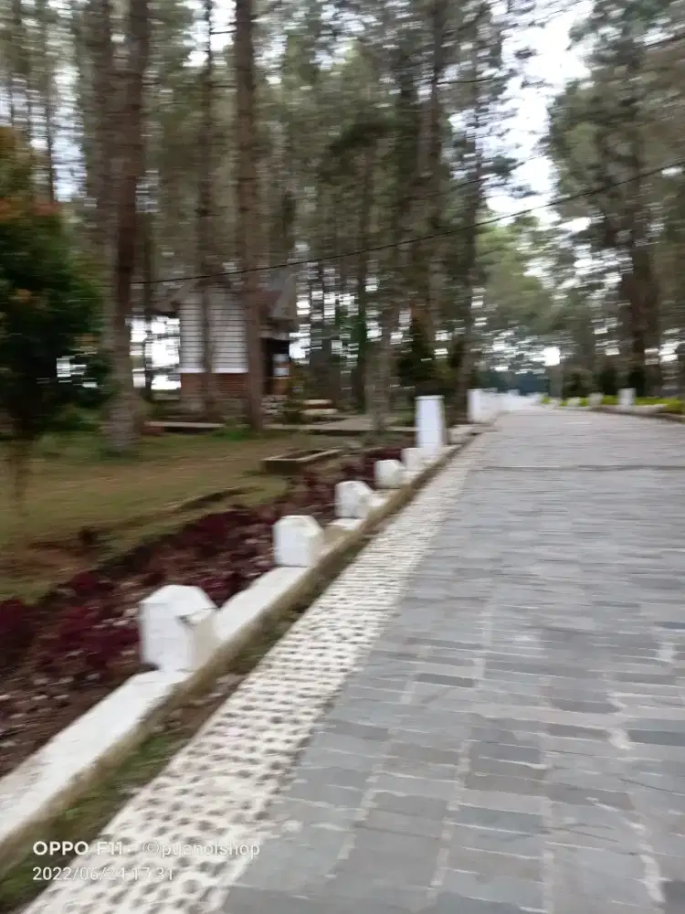 Bu Sri