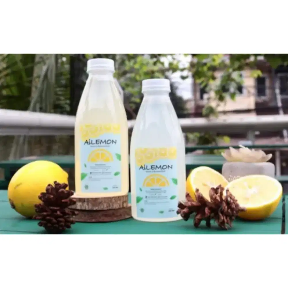 Ailemon Admin