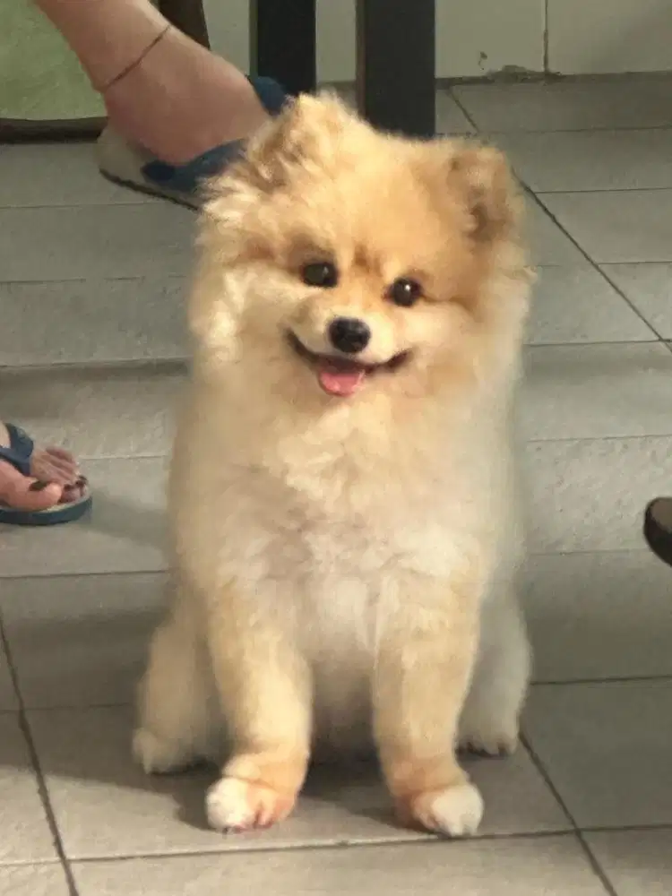 KeikoThepom