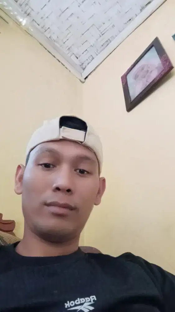 Apipudin