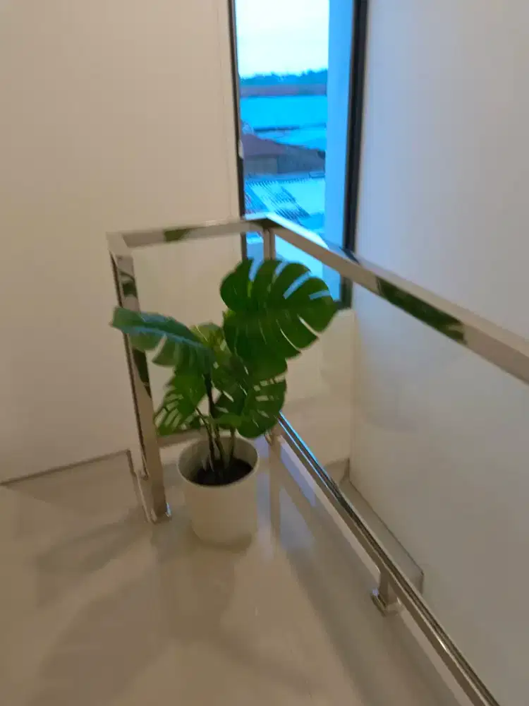 Dev