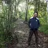 Ardi