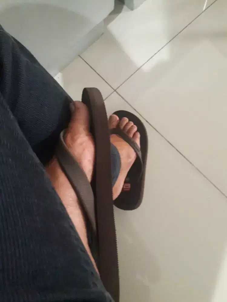 lembu