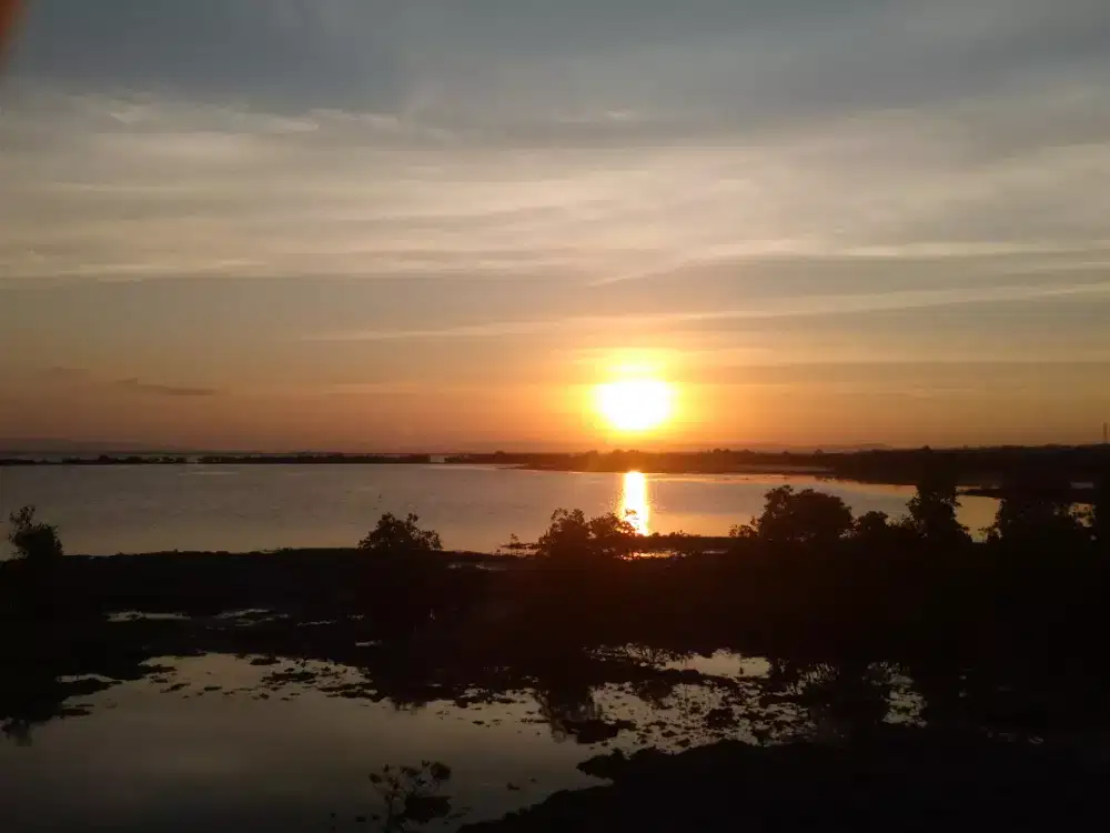 Basori