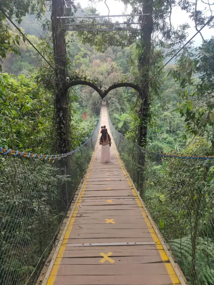 Diki Fikri