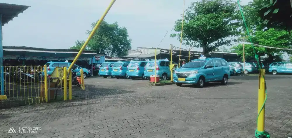 Lowongan driver taksi bandara dan konvensional