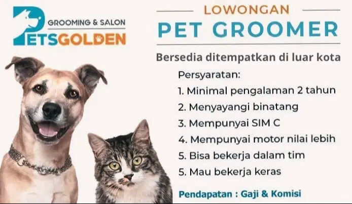 Loker Groomer Home Service | lowongan kerja groomer anjing kucing
