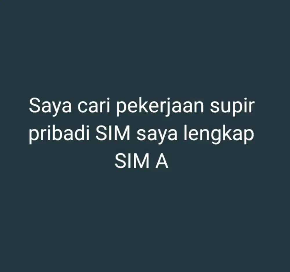 Driver mobil supir pribadi