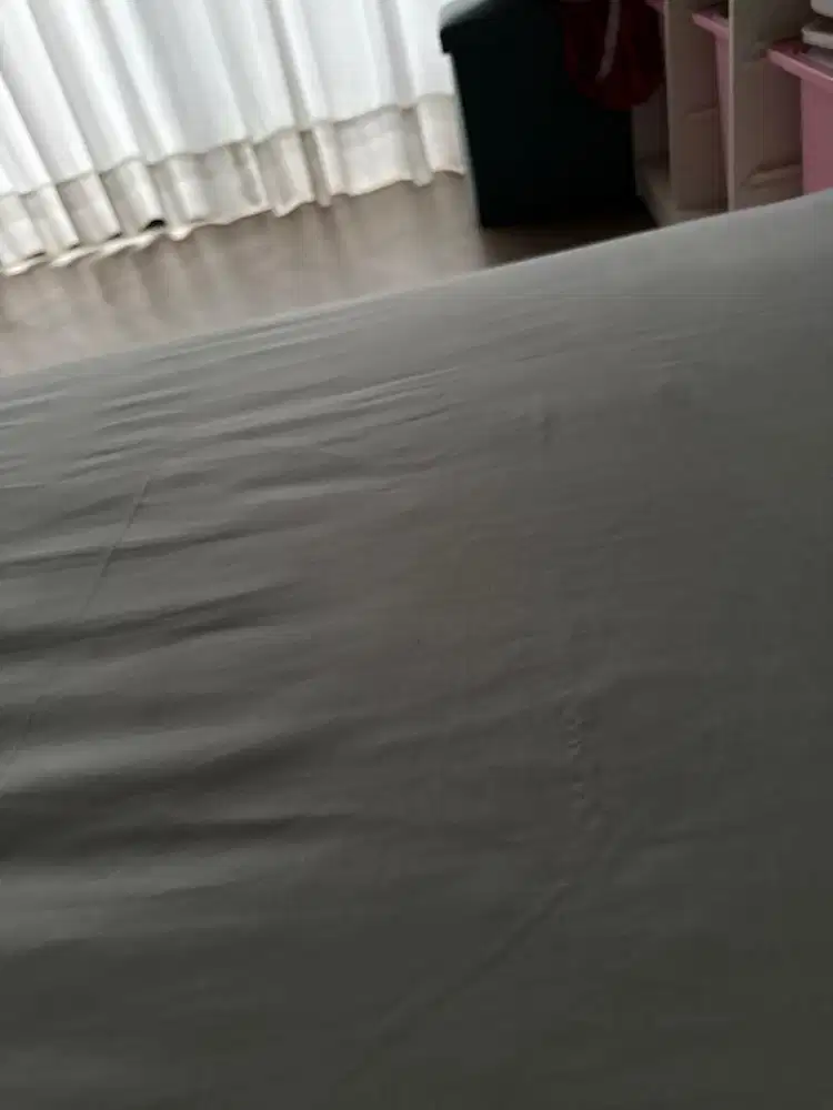 baby sitter profesional (pengalaman)