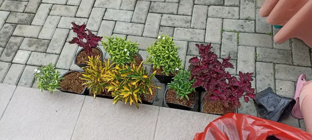 Art pulang pergi