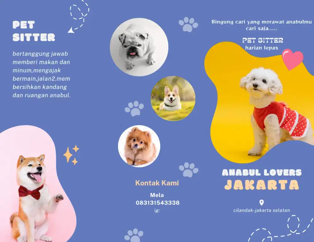 Pet sitter,dog Walker,pet sitting