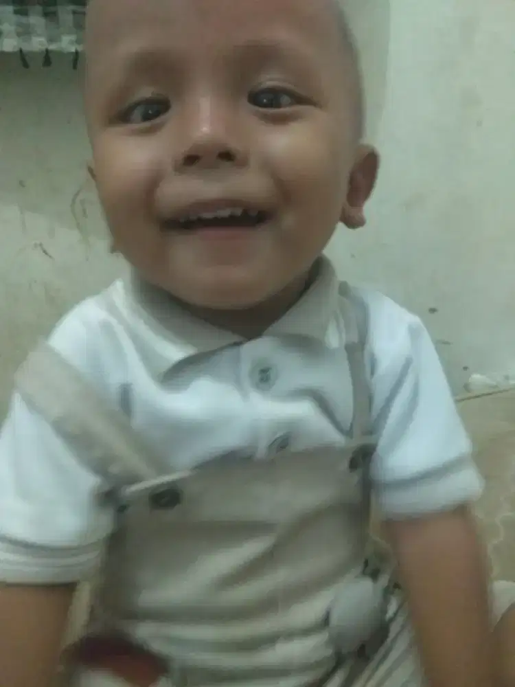 Sopir pribadi dan barang