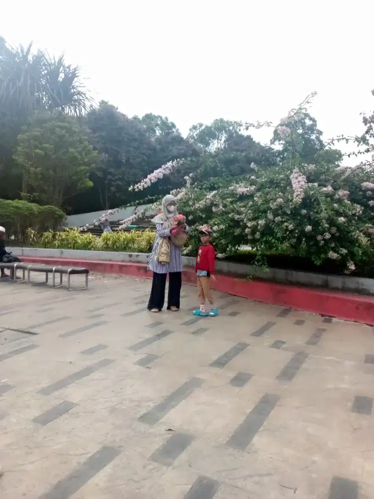 Sedang mencari kerjaan