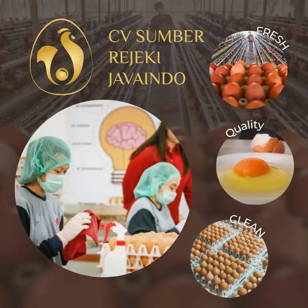 Dibutuhkan kernet serabutan