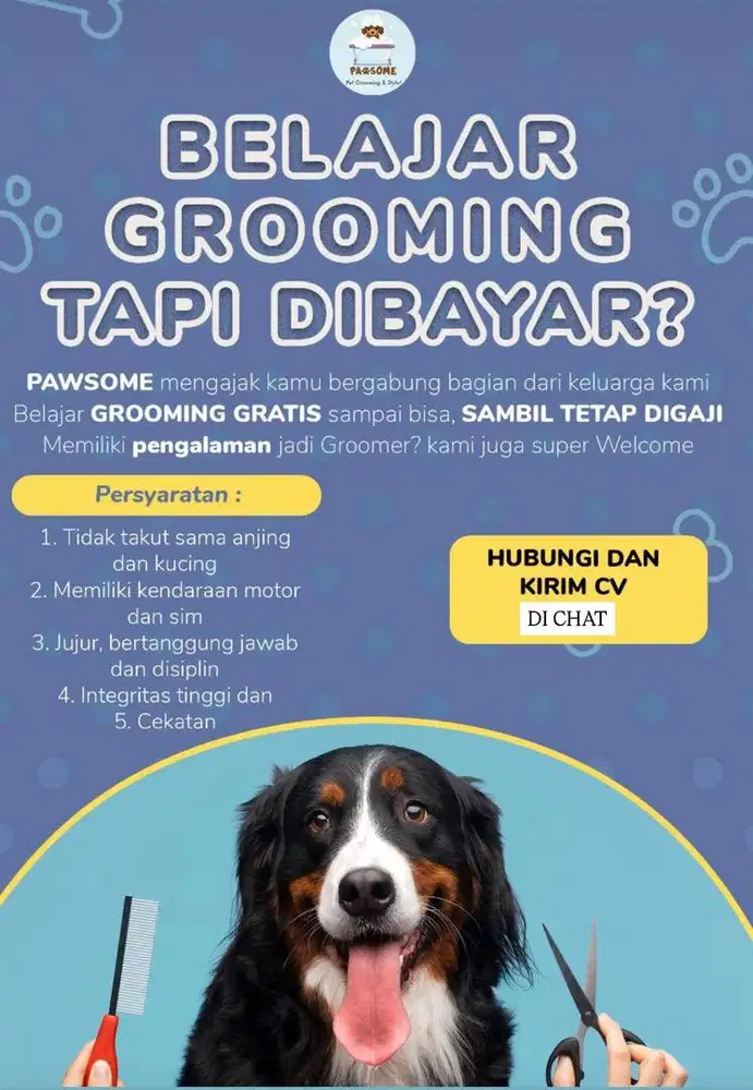LOWONGAN PEKERJAAN GROOMING ANJING KUCING