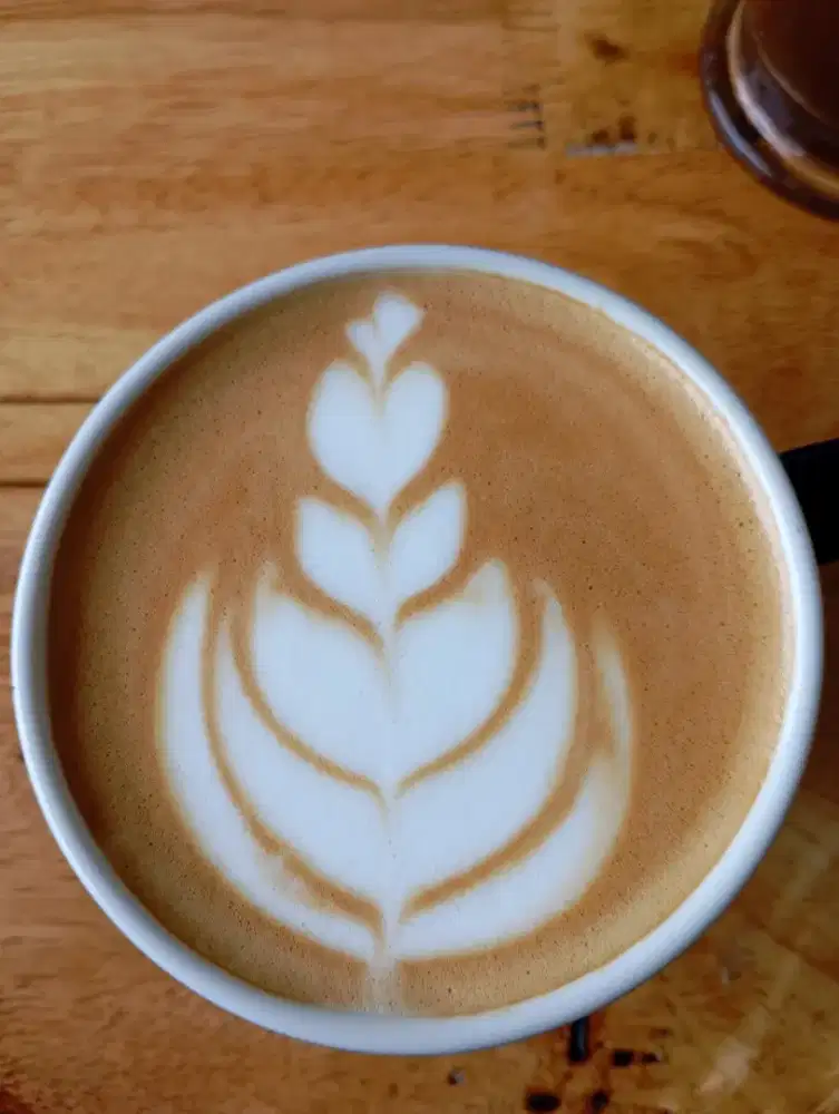 Junior barista coffee shopp