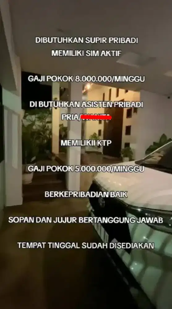Lowongan supir pribadi