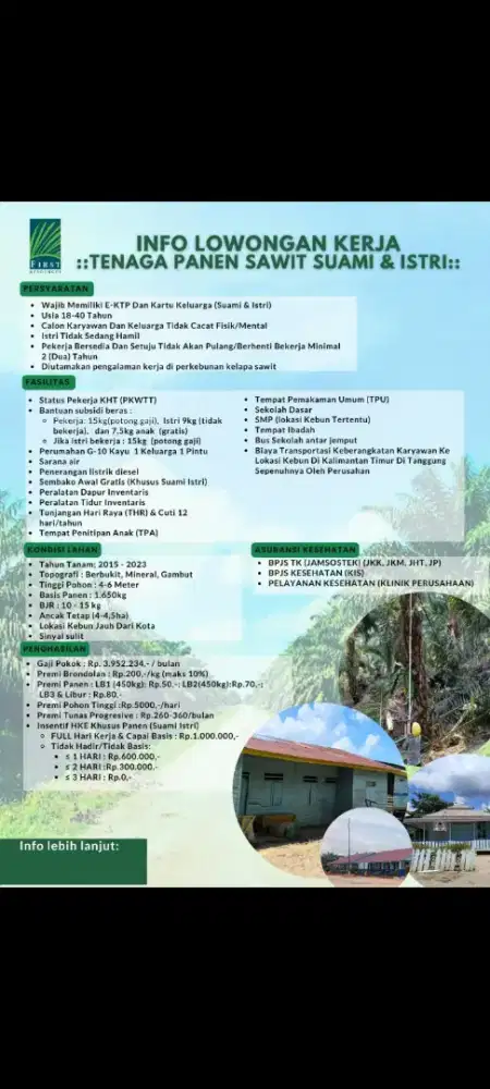 Loker resmi PERKEBUNAN Kelapa sawit CV tgp