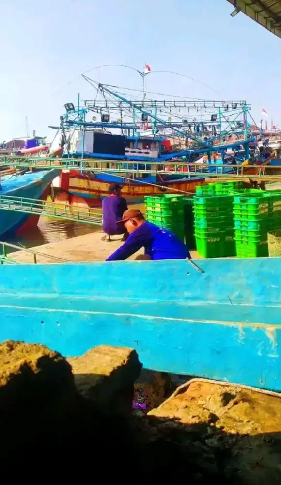 Butuh 2 tenaga kerja buat abk kapal cumi