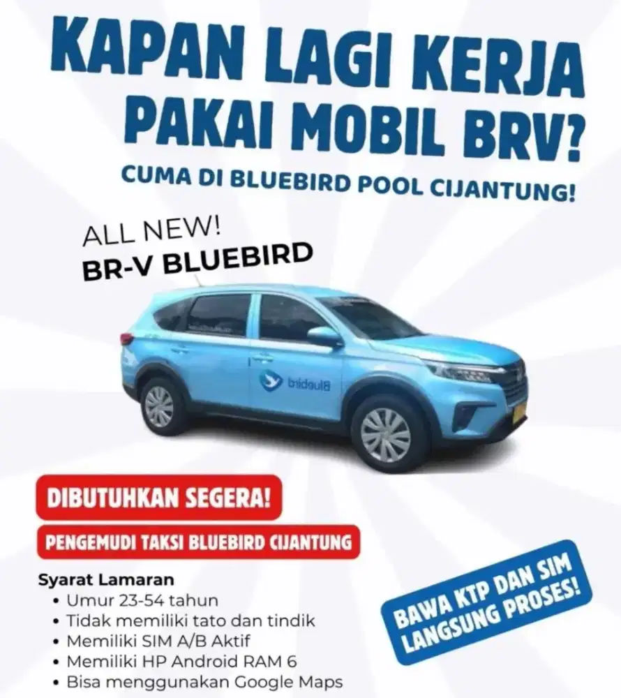 DRIVER BLUEBIRD JAKARTA