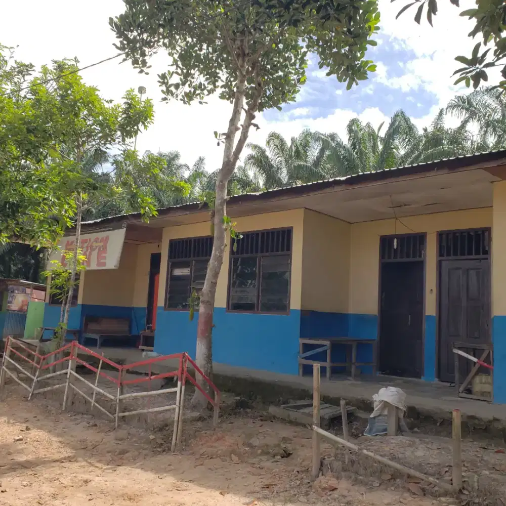Perkebunan kelapa sawit kalimantan