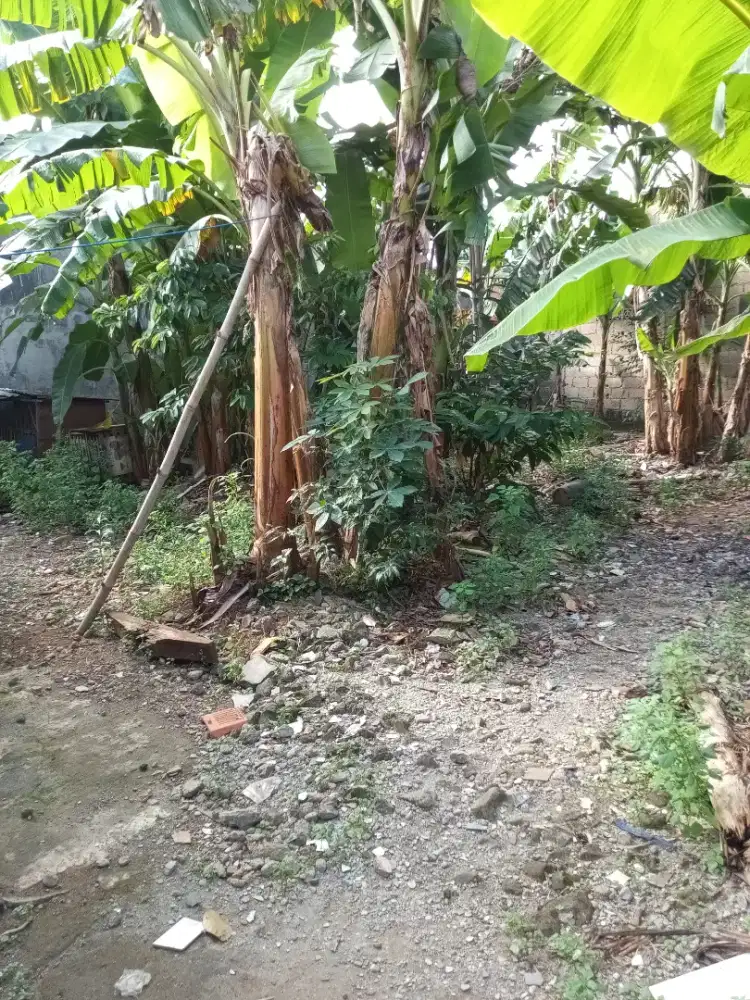 Sedang mencari pkerjaan art