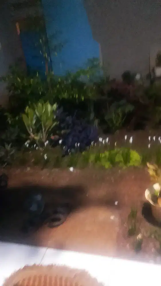 Sedang mencari pekerjaan