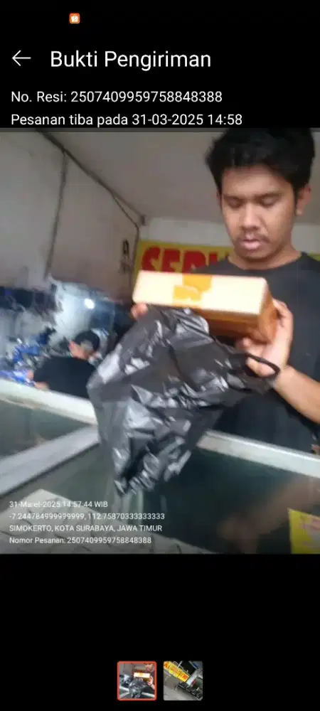 Di cari SPG konter service  hp