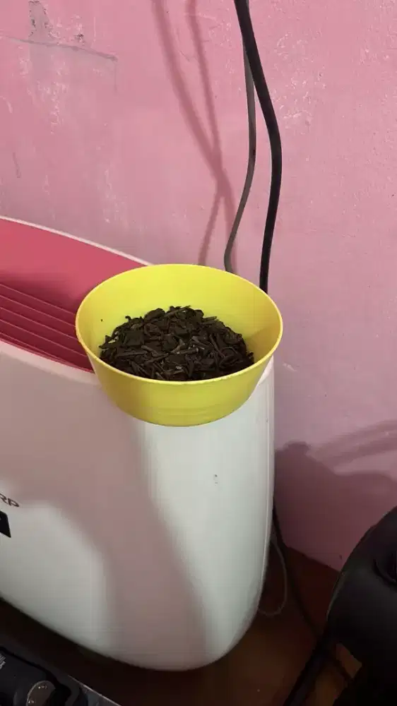 Pengalaman dibidang Jualan Mie ayam