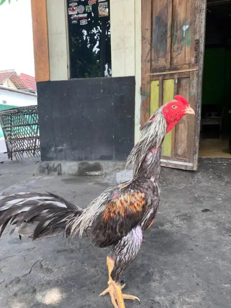 Cari perkerjaan