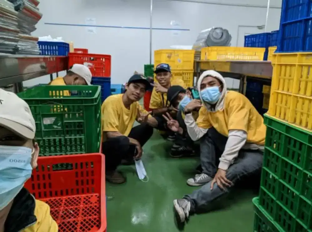 Mencari Pekerjaan