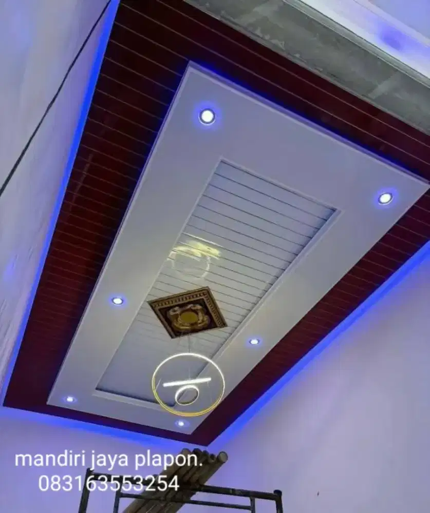 Jasa pasag plapon