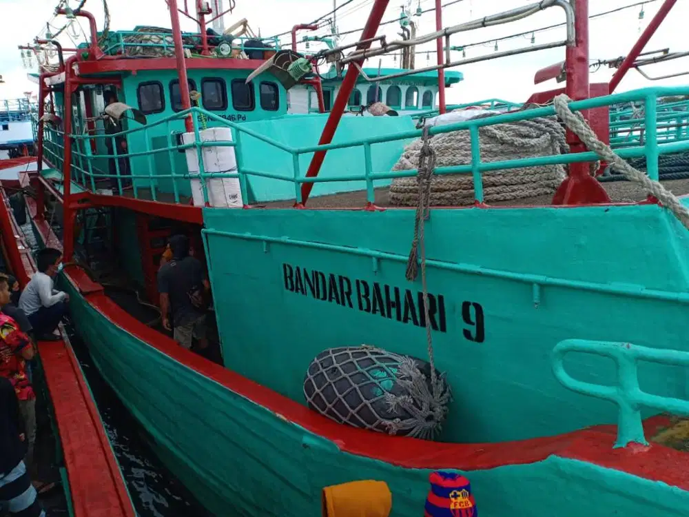 Kerja di Bali mancing cumi