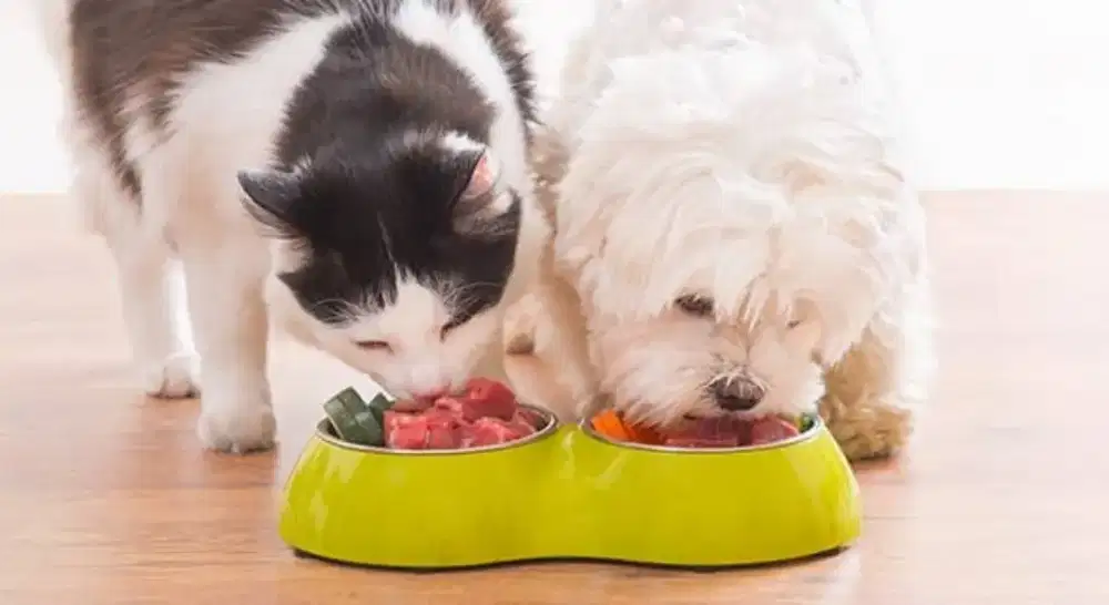 Sales Pet Care Product - Samarinda