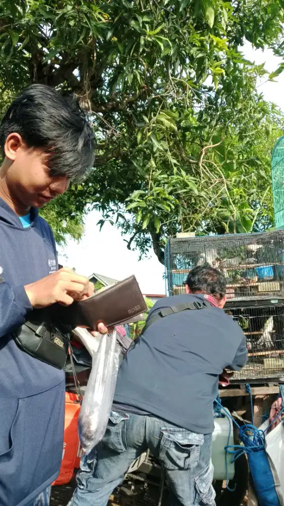 Cari kerja apa ja