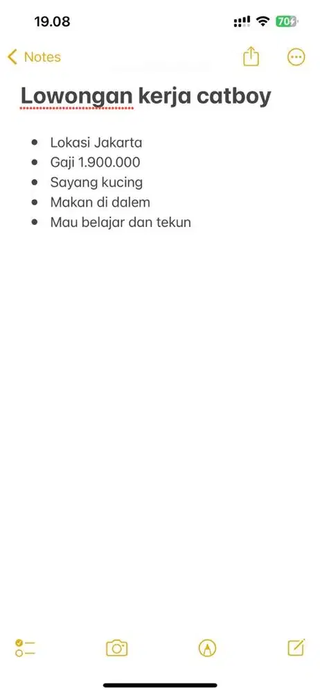 Lowongan kerja catboy